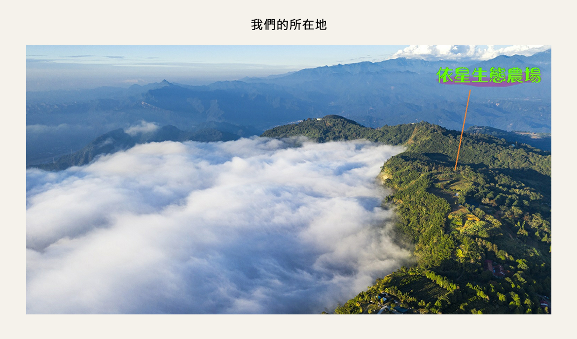 依星生態農場營區導覽圖